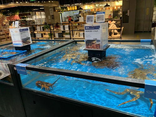 新零售下的美学革命 盒马鲜生服装陈列如何颠覆传统销售